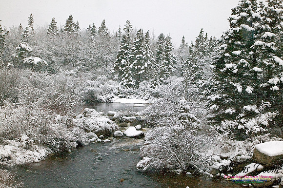 Pennant River
