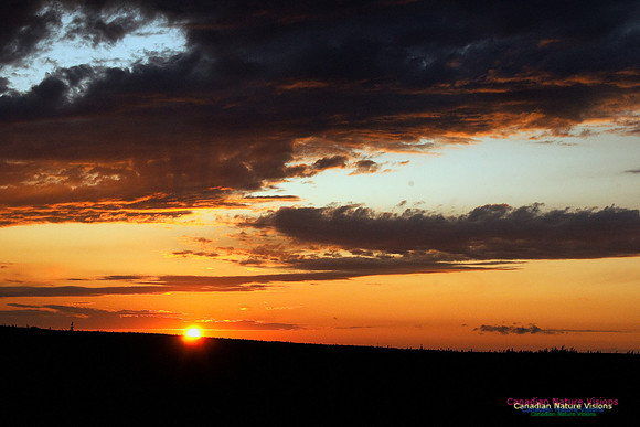 PortugueseCoveSunset4