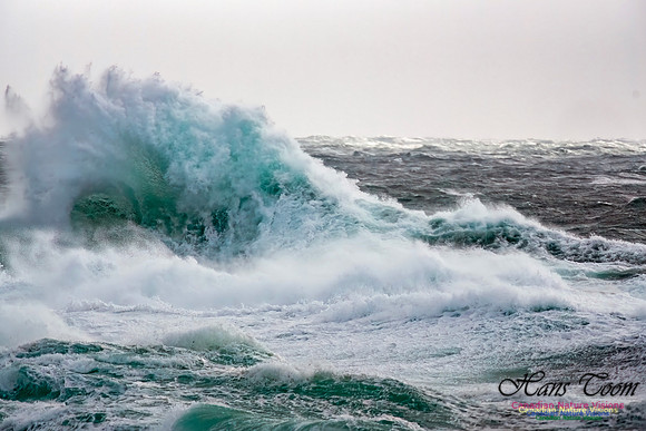 February 17 Gale 135