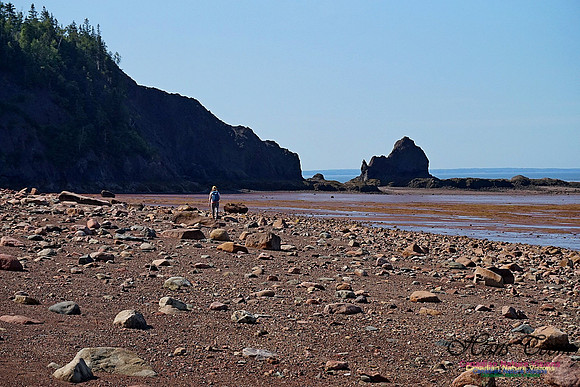 Five Islands Provincial Park 105