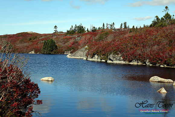 CoastalBarrensFall2016-1020