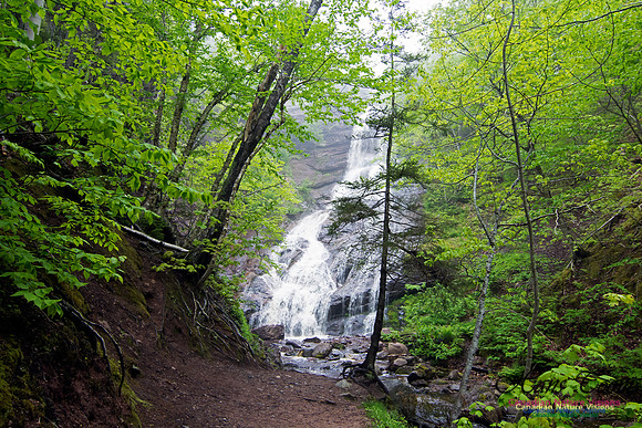 Cape Breton Highlands
