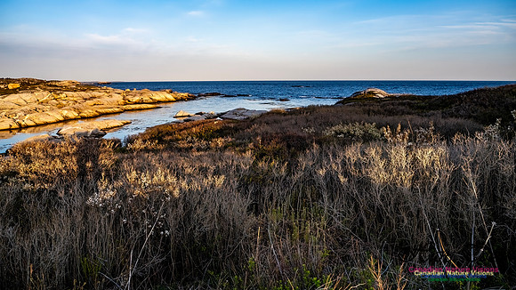Late Day at Peggy's Cove 127