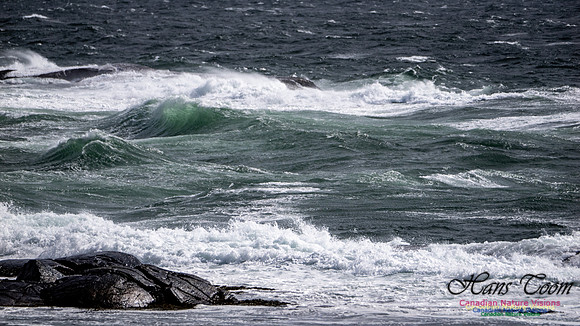 Coastal Tour 131