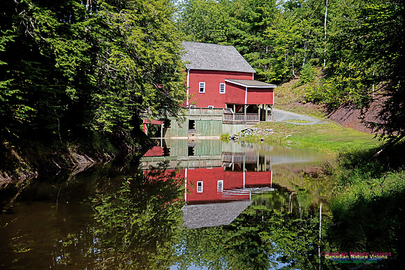 Balmoral Grist Mill