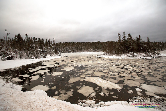 Sambro Head