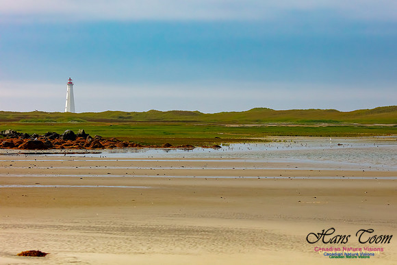 Cape Sable Light 102