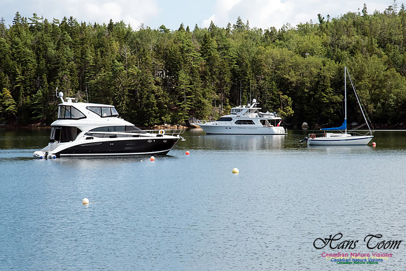 Pleasure Yachts