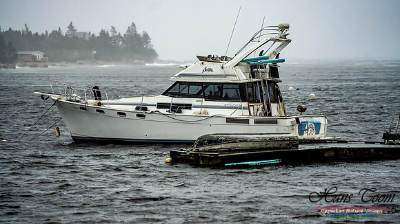 Nova Scotia Gale 2024-09-07 134
