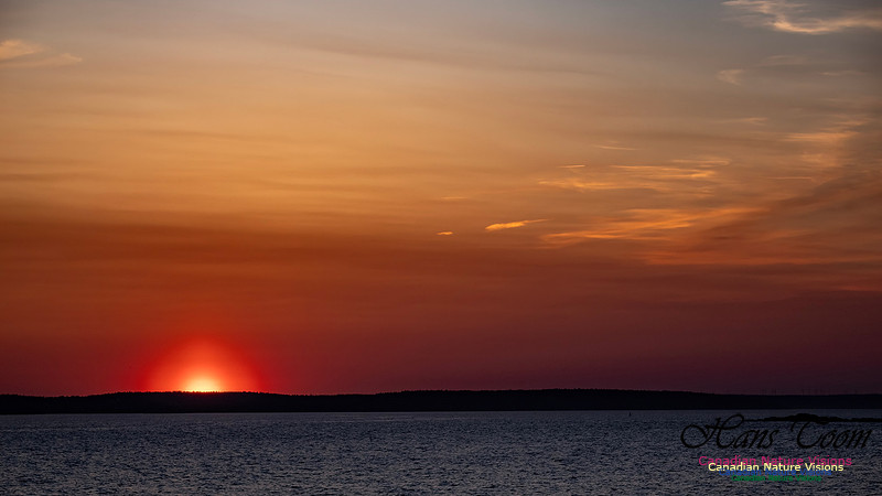 Peggy's Cove Sunset 604