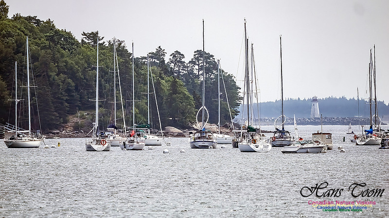 Sailboats at Northwest Arm 100