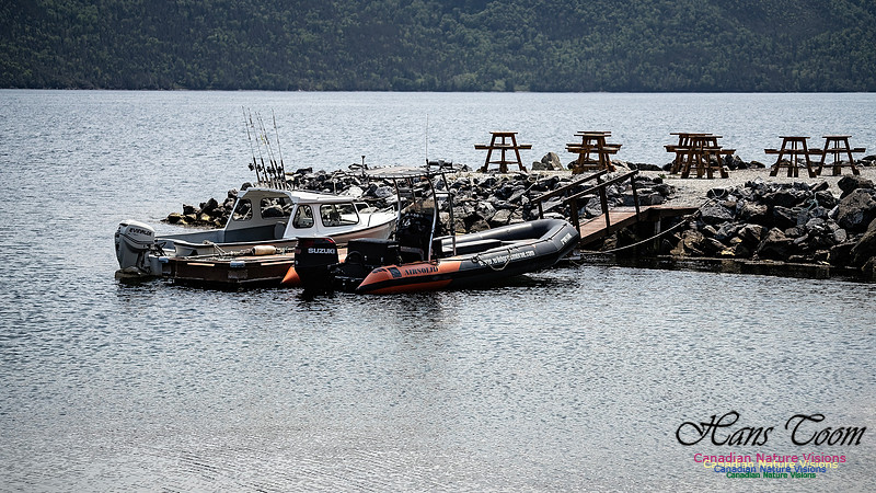 Table Mountains 115