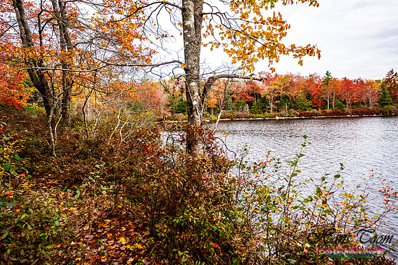 More Early Fall Photos in Nova Scotia 222