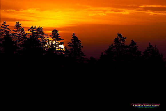 PortugueseCoveSunrise1
