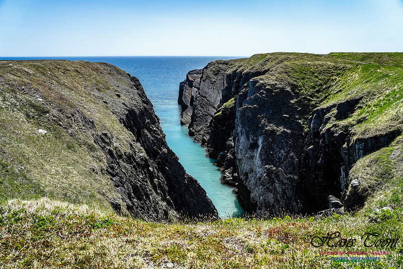 Cape Race 121