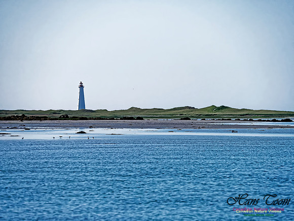 Cape Sable 2018 5