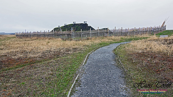 L'Anse aux Meadows 118