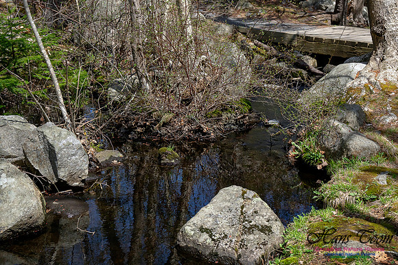 Sir Sanford Fleming Park 2