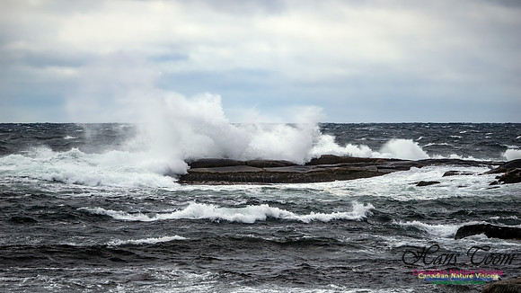 November Gale 3 125