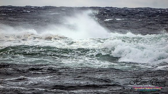 November Gale 3 107