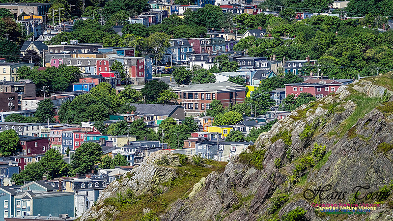 St. John's, Newfoundland 102