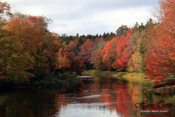 Shubenacadie Valley