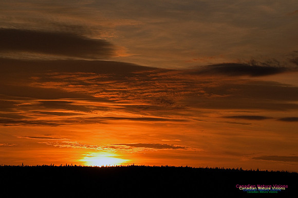 PortugueseCoveSunset1