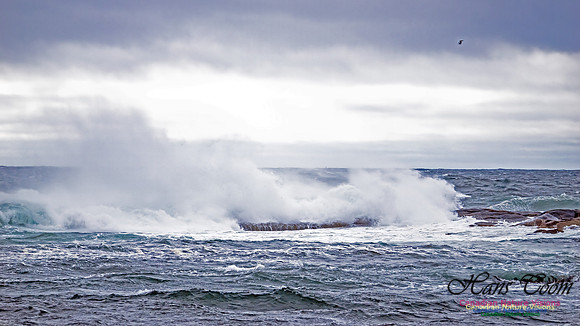 November Gale 1 107