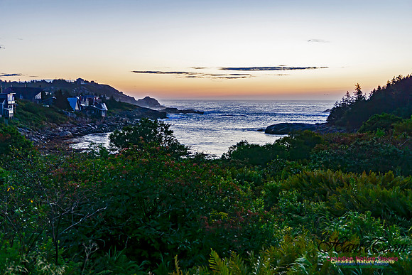 Early Morning on the Coastal Barrens 103