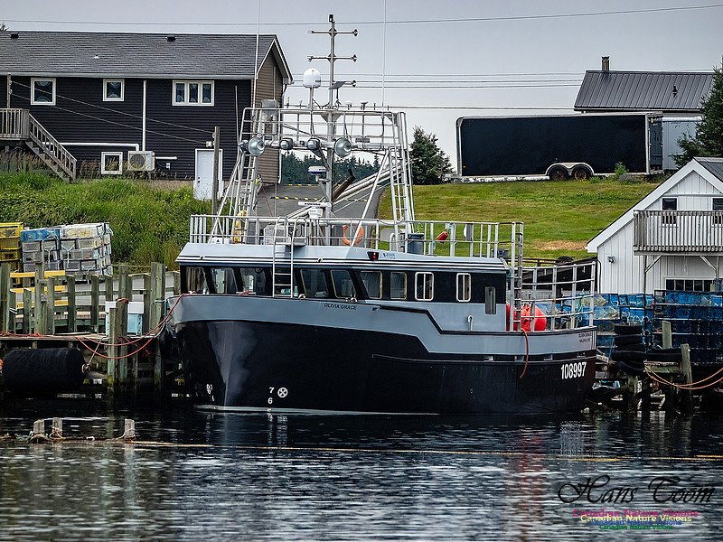 Luxury Blue Water Fisher 100