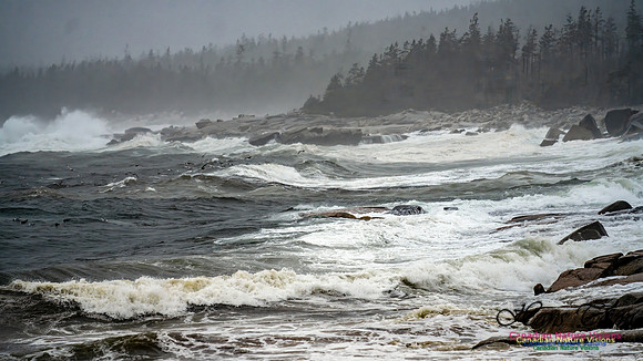 Nova Scotia Gale 2024-09-07 131