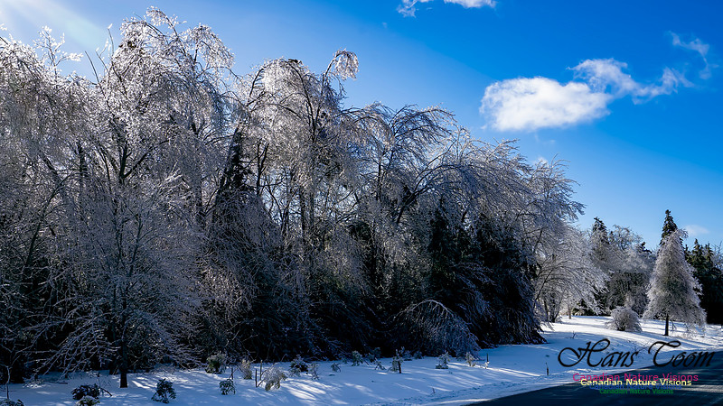 Ice Storm 2022 125