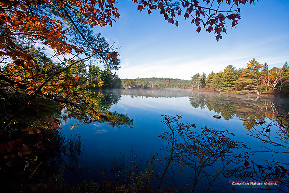 FallColours2012-26