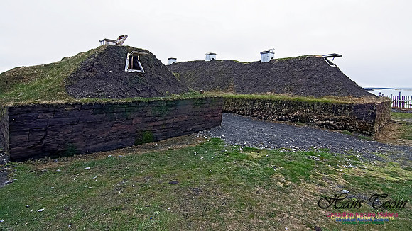 L'Anse aux Meadows 107