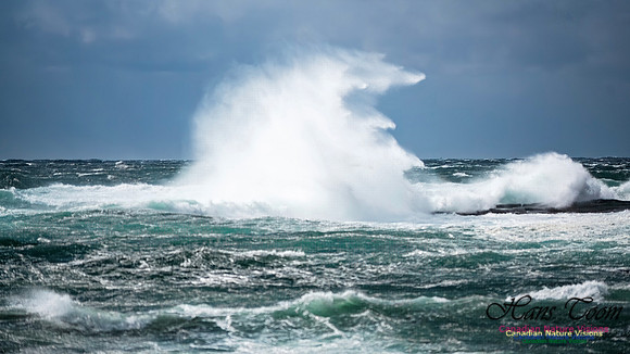 February 17 Gale 145