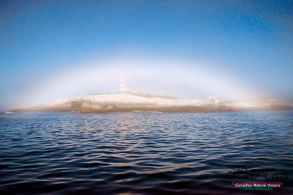 Fogbow