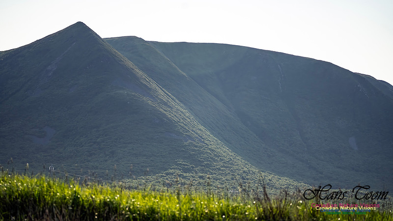Table Mountains 118