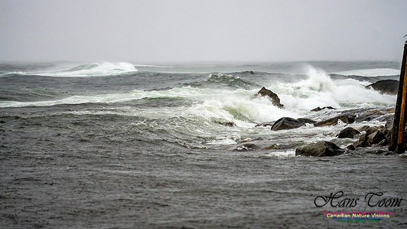 Nova Scotia Gale 2024-09-07 196