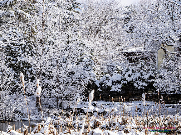 April Snow in Nova Scotia 234