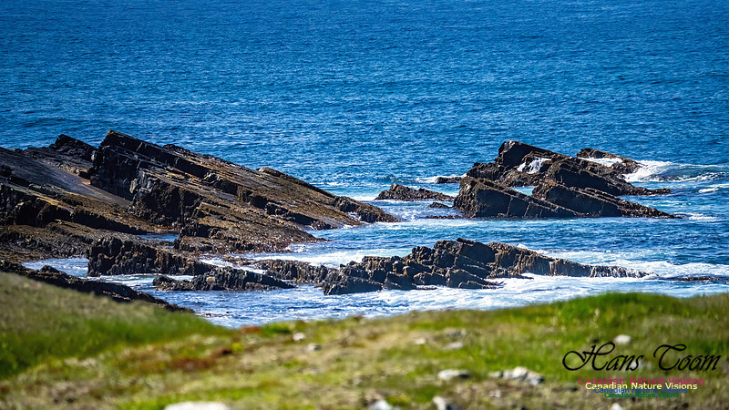 Cape Race 110