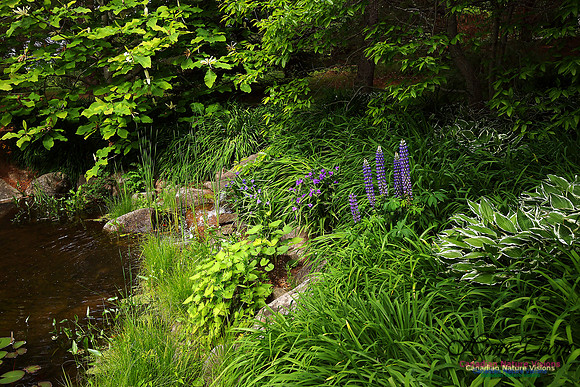 Annapolis Royal Historic Gardens
