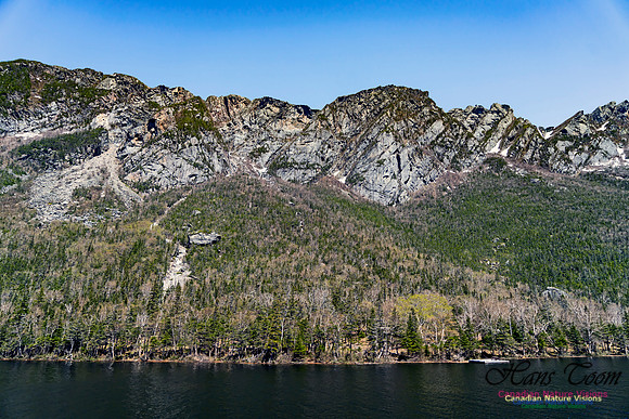 Western Brook Pond 206
