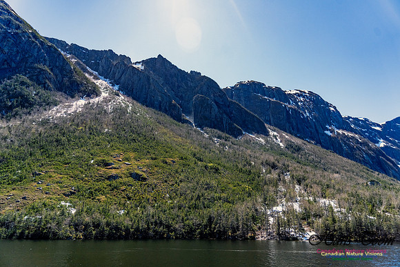 Western Brook Pond 233