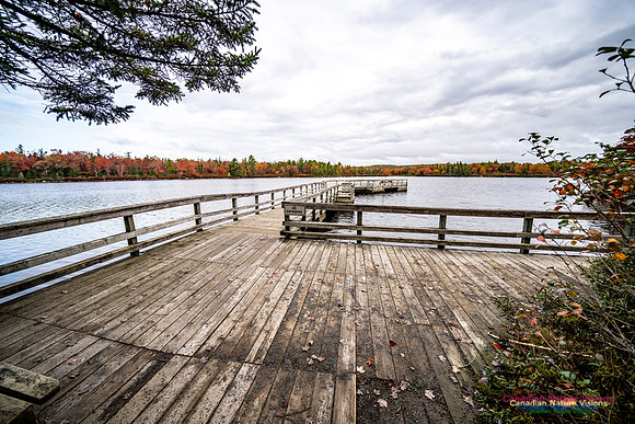 More Early Fall Photos in Nova Scotia 220