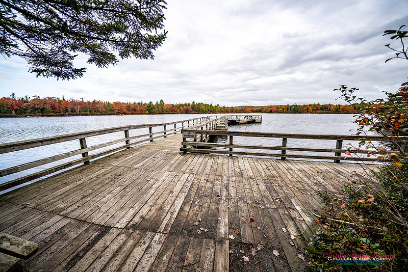 More Early Fall Photos in Nova Scotia 220