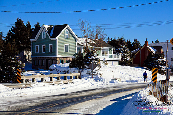 Ketch Harbour Home in Winter