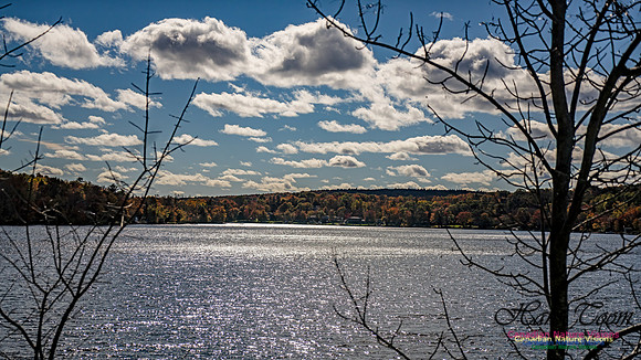 Last Fall Colours of 2024 103