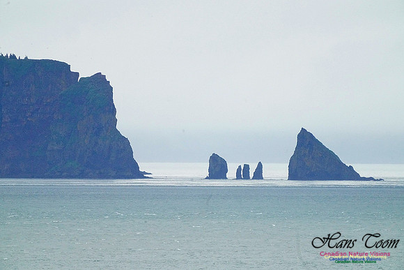 Cape Split 220