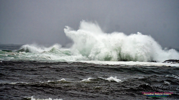 Nova Scotia Gale 2024-09-07 170