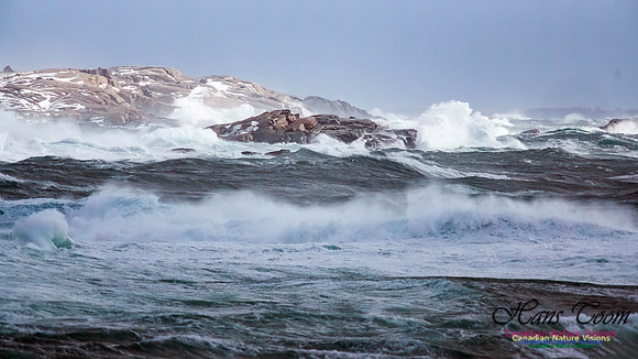 February 17 Gale 131